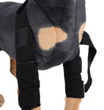 Rodillera protectora de neopreno para perros