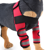 Rodillera protectora de neopreno para perros
