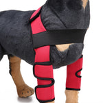 Rodillera protectora de neopreno para perros