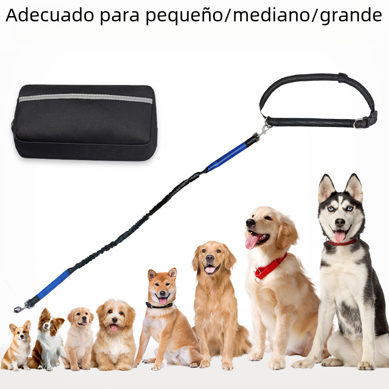 Riñonera para Correr con Correa para Mascotas