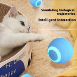 Bola Interactiva Automática para Gatos