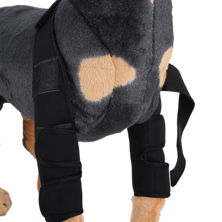 Rodillera protectora de neopreno para perros