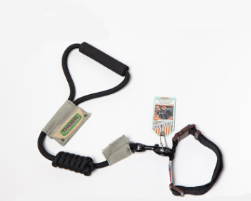 Set de Correa y Collar para Perros Pequeños y Gatos