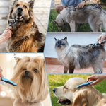 Cepillo Profesional de Doble Cara para Mascotas