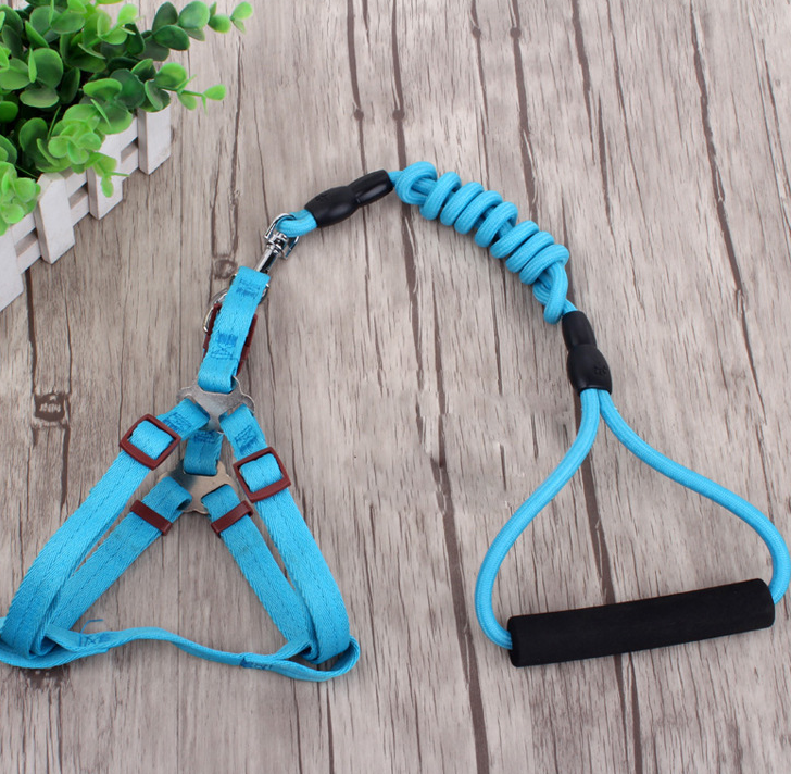Set de Correa y Collar para Perros Pequeños y Gatos