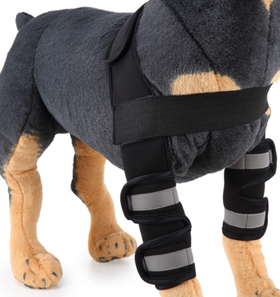 Rodillera protectora de neopreno para perros