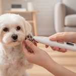Cortando pelo entre patas de perro con cortapelos eléctrico