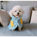 Bichon Frise con pijama azul estrellas en sofá beige